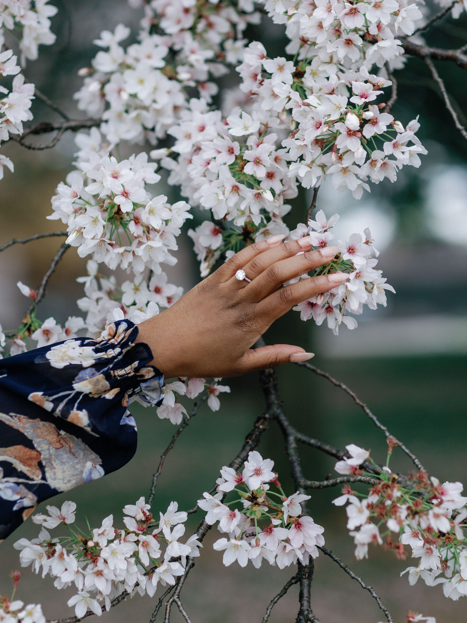 The hand of a newly engaged bride touching the cherry blossom flowers.