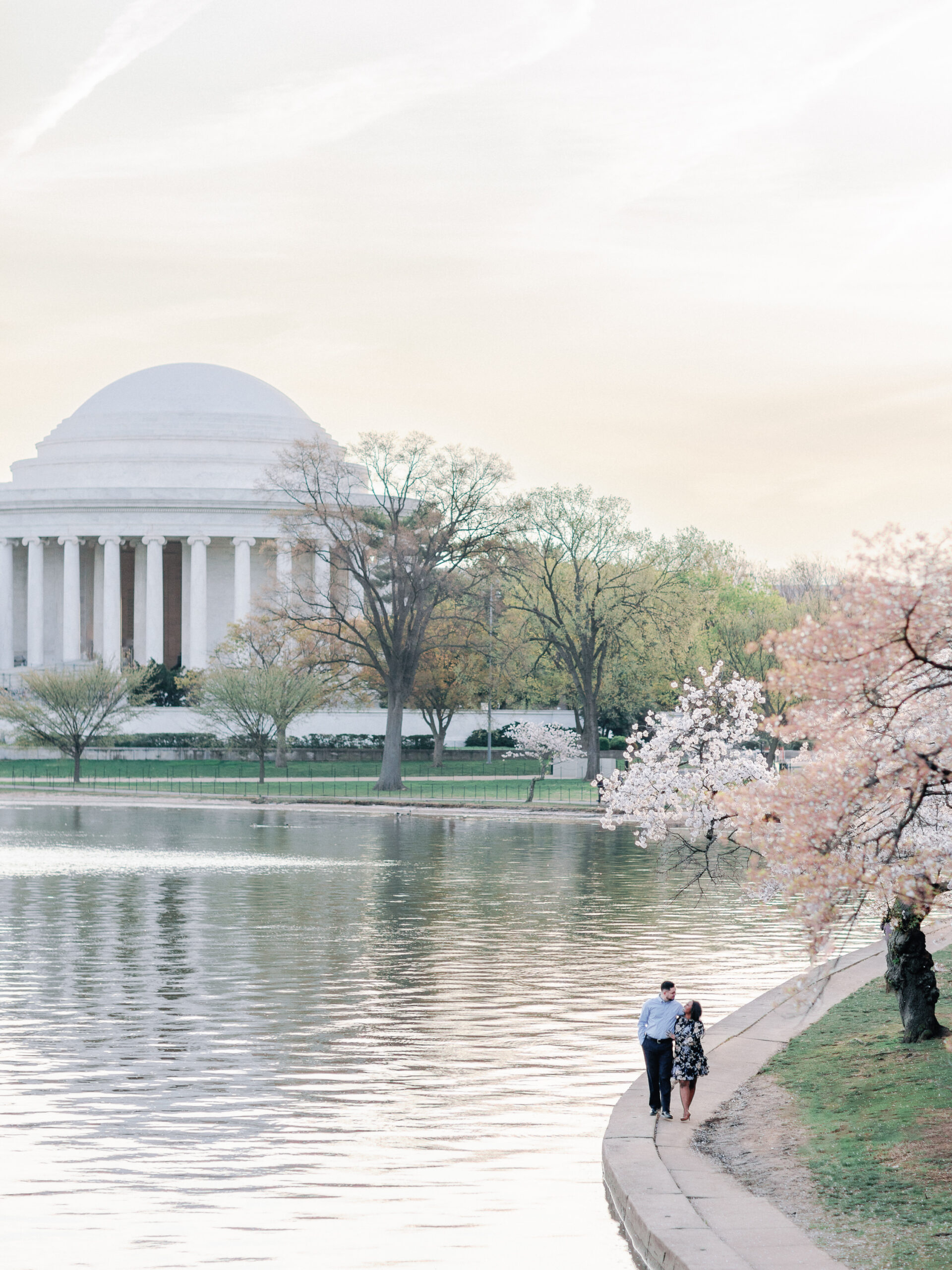 A newly engaged couple walking along the edge of the Tidal Basin during the cherry blossom bloom.